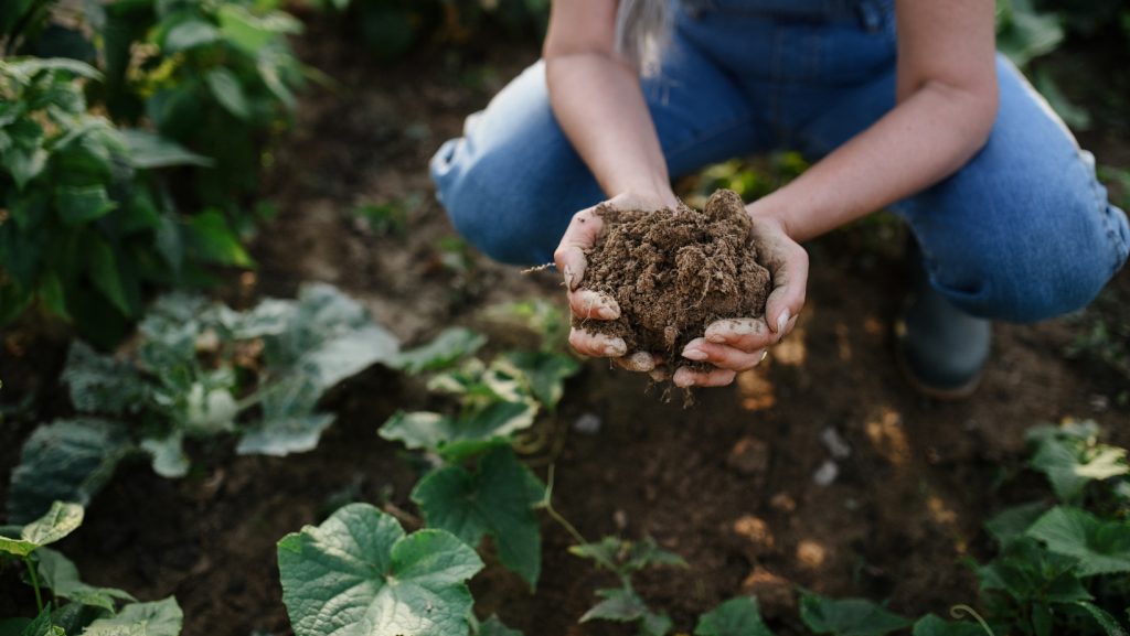 Agricultura-regenerativa
